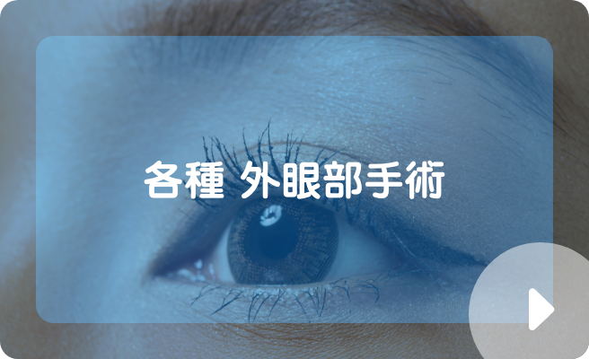 各種 外眼部手術
